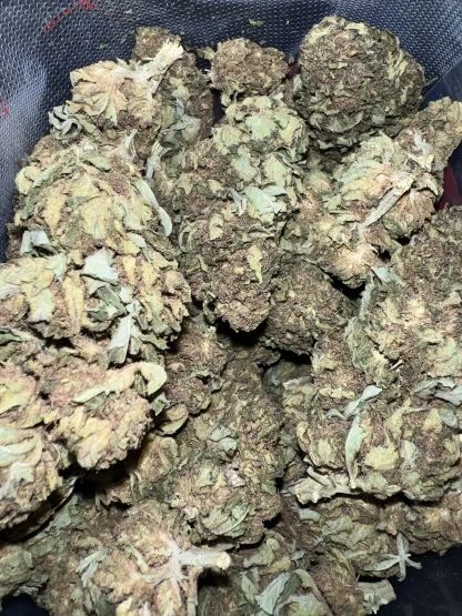 Pink Kush bud