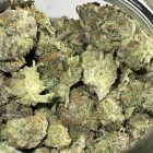 Triangle Mint Breath