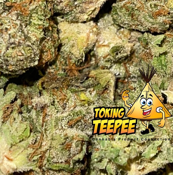 Grease Monkey Hybrid