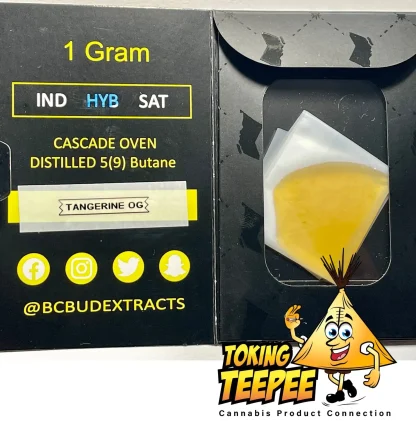 Tangerine OG Hybrid Shatter