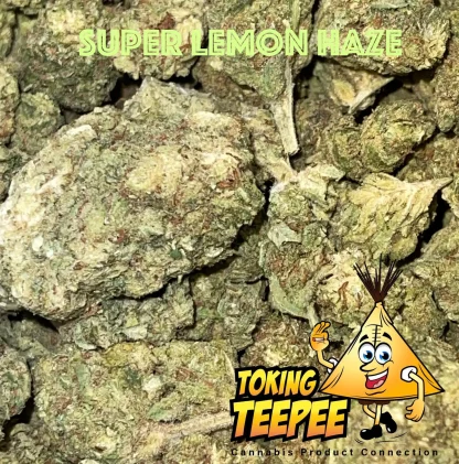 Super Lemon Haze Sativa