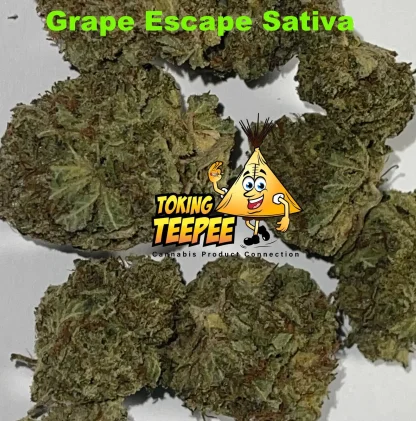 Grape Escape Sativa