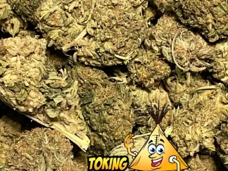 Good Value Indica Bud