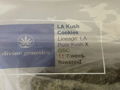 LA Kush Cookies strain 2