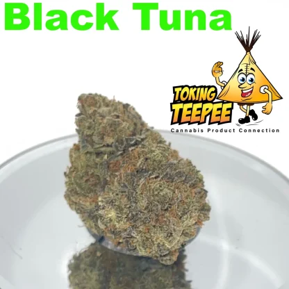 Black Tuna strain