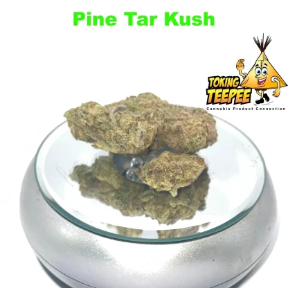 Pine Tar Kush strain