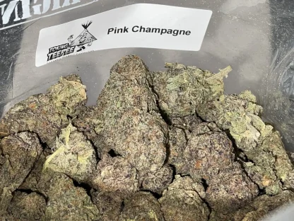 Pink Champagne strain
