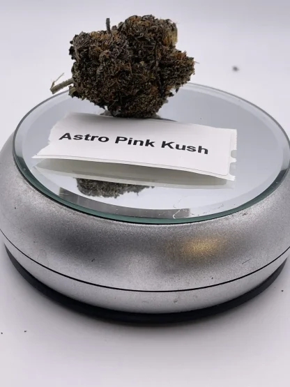 Astro Pink Kush strain