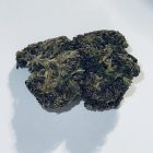 purple ghost strain a