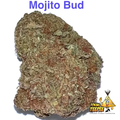 Mojito Strain bud