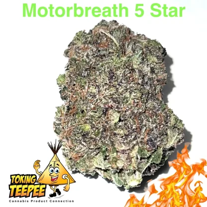 motorbreath strain 5star