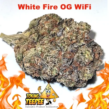 White Fire OG strain