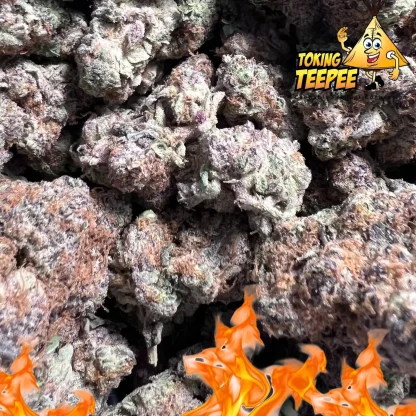 Pink Truffle strain