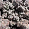 Pink Truffles strain