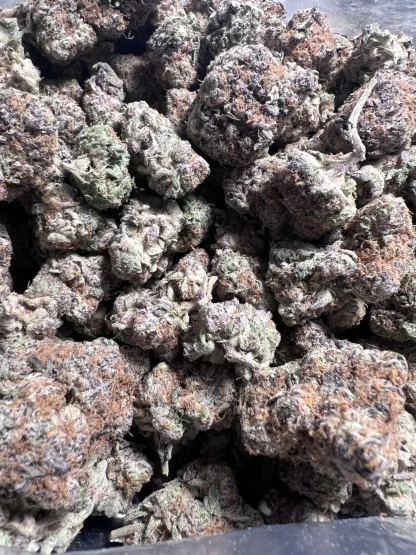 Pink Truffles strain