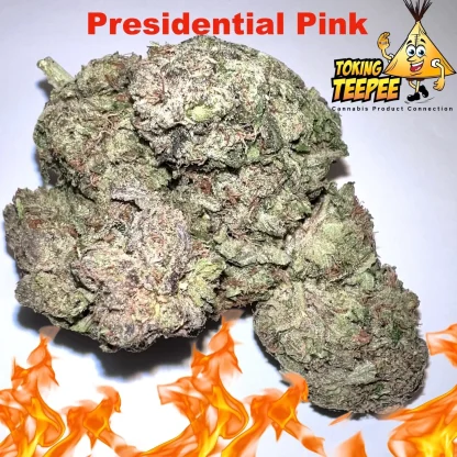 Presidential Pink strain