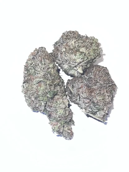 white truffle bud