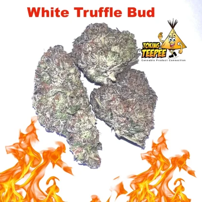 white truffle strain