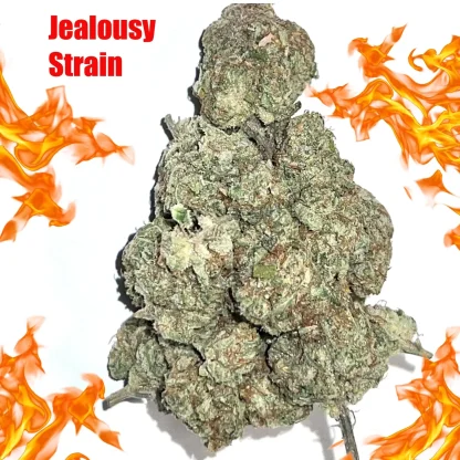 Jealousy Strain