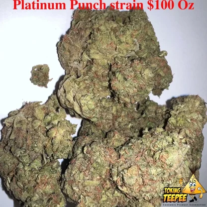 Platinum Punch strain buds