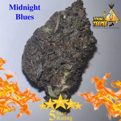 Midnight Blues 5 star bud