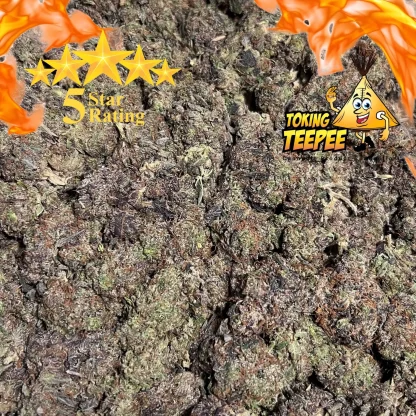 Ghost Train strain 5 Star bud