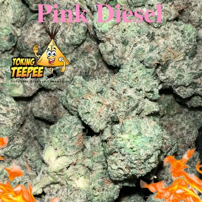 Pink Diesel strain