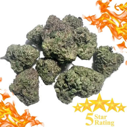 Cactus Breath strain bud