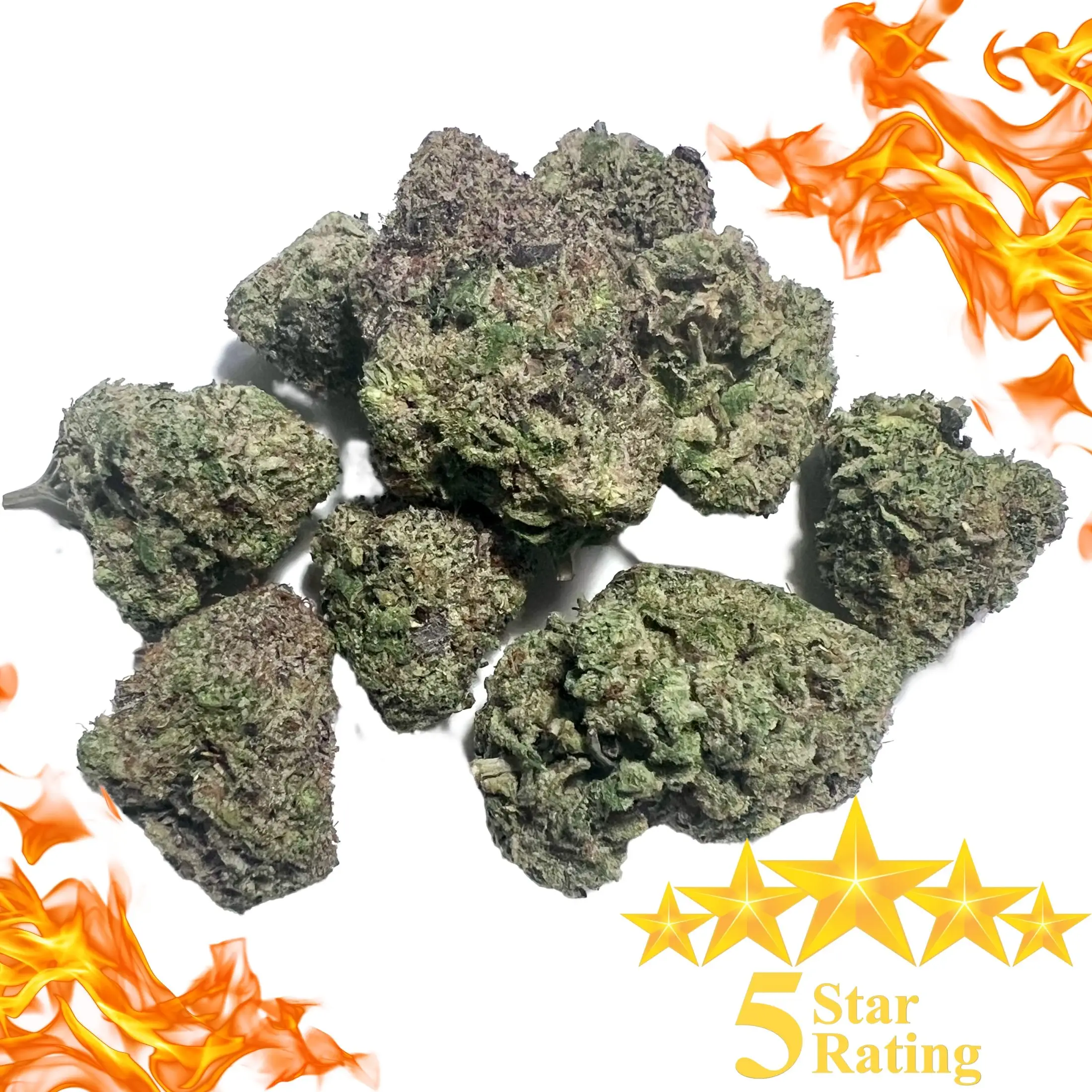 Cactus Breath Strain Masterfully Grown, TopShelf Quality Toking