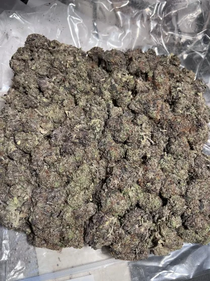 Purple Ghost 5 Star