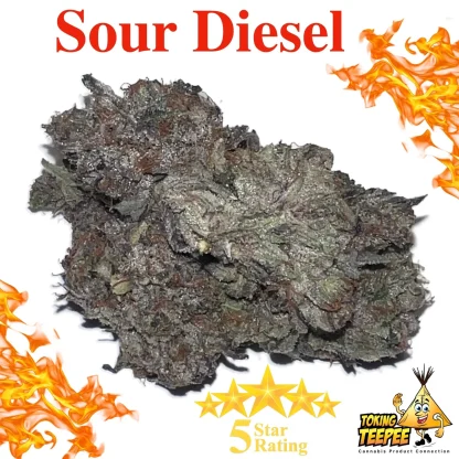Sour Diesel strain Sativa buds