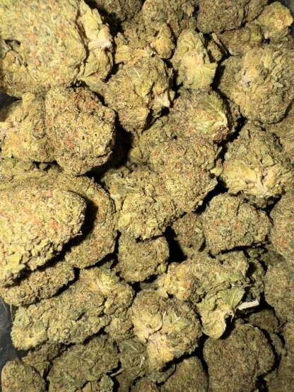Godfather OG Kush Strain