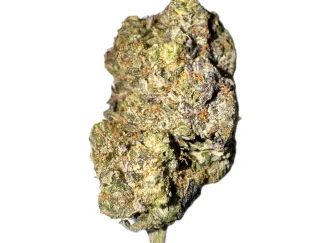 Pink Velvet strain