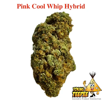 Pink Whip bud clearance