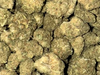 Super Sour Widow AA Hybrid
