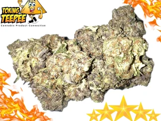 King Louis XIII strain