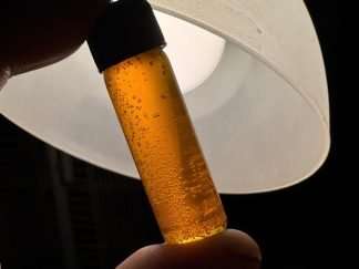 CO2 Honey Oil best in Canada