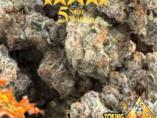 Grapefruit Haze strain