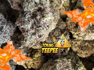 Pink Panther Strain - Indica