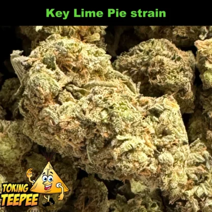 Key Lime Pie strain $100 oz