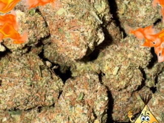 OG Kush Breath strain
