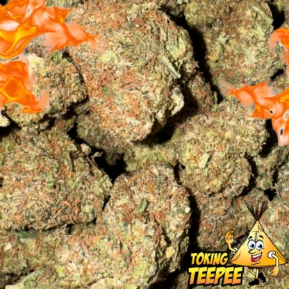 OG Kush Breath strain
