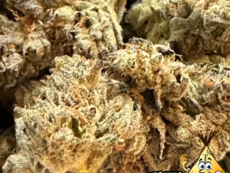 Double Barrel OG Strain