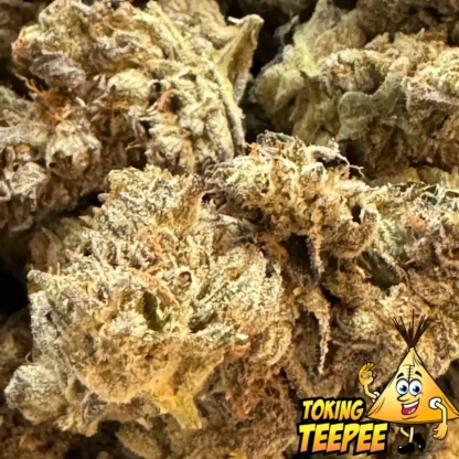 Double Barrel OG Strain